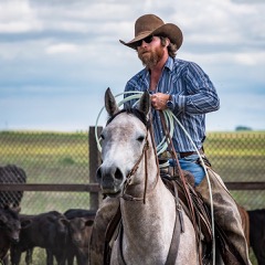 Man on horse